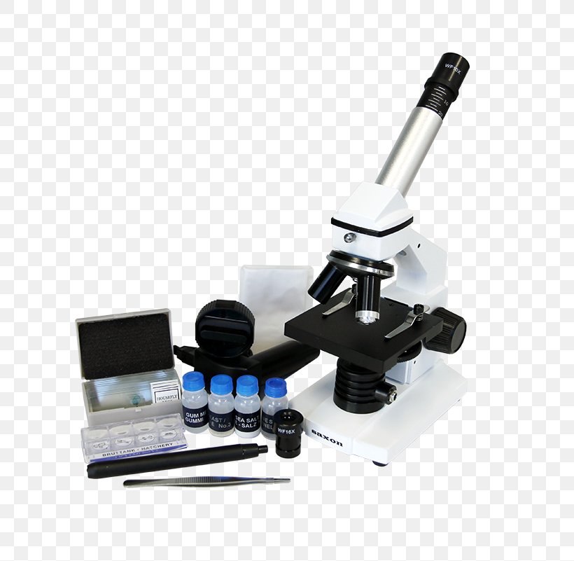 Digital Microscope Optical Microscope Optics USB Microscope, PNG, 805x801px, Microscope, Celestron, Computer, Digital Data, Digital Microscope Download Free