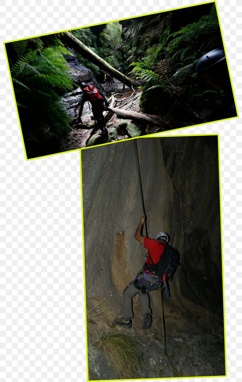 Rock-climbing Equipment Sporting Goods Adventure Film, PNG, 800x1293px, Rockclimbing Equipment, Adventure, Adventure Film, Climbing, Rock Climbing Equipment Download Free