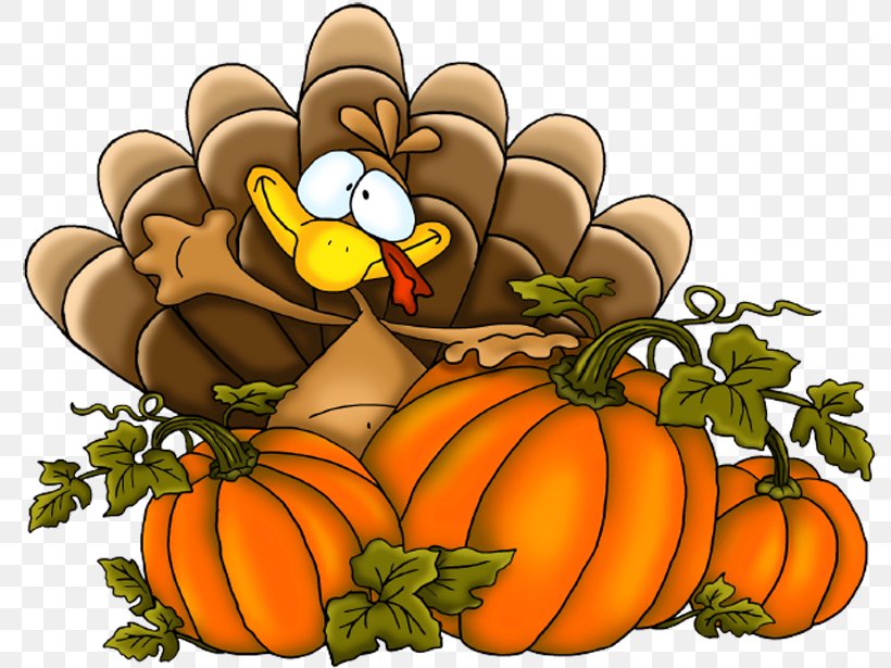 Thanksgiving Turkey Clipart, PNG, 800x615px, Turkey, Animation, Blog, Calabaza, Cucurbita Download Free