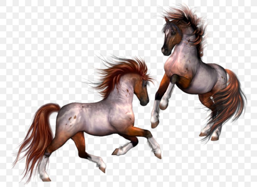 Horse Animation Cartoon Clip Art, PNG, 800x597px, Horse, Animal, Animation, Cartoon, Colt Download Free