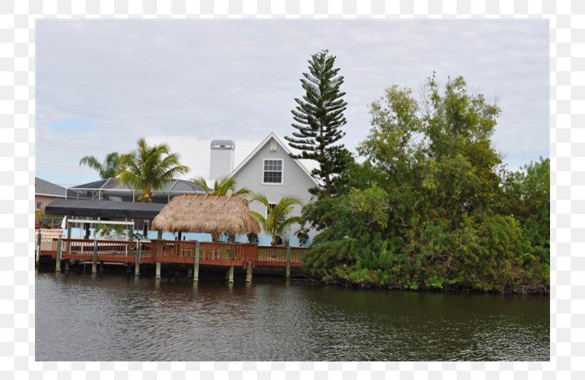 House Seawater Vacation Rental Shore Cape Coral, PNG, 800x533px, House, Bayou, Boat Rental, Canal, Cape Coral Download Free