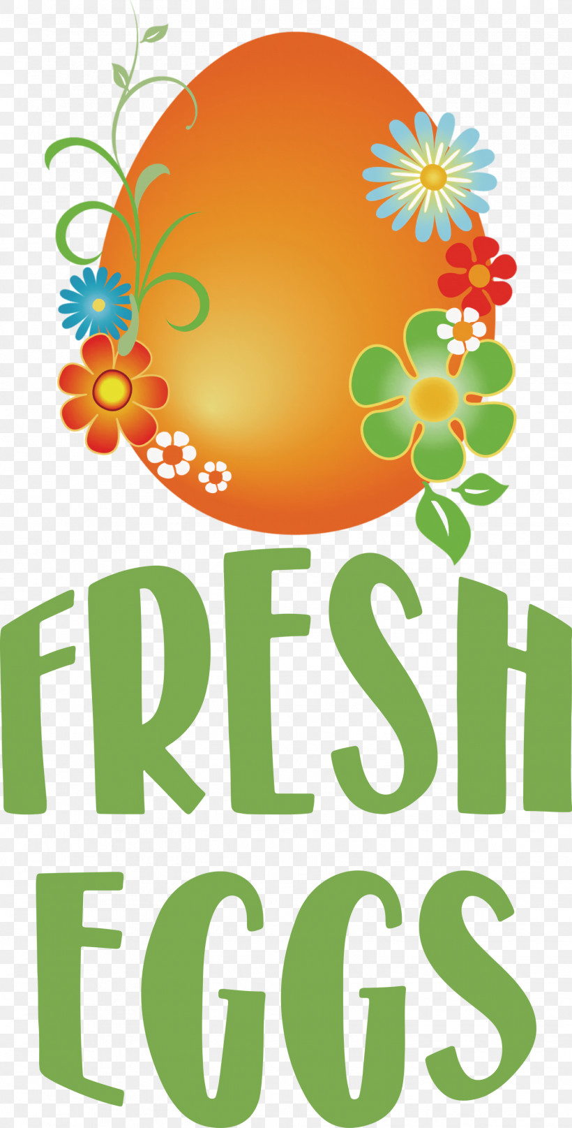 Fresh Eggs, PNG, 1522x2999px, Fresh Eggs, Biology, Floral Design, Flower, Fruit Download Free