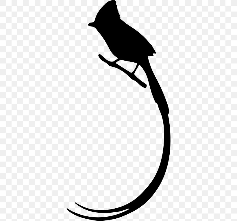 Long Tail Bird Silhouette Clip Art, PNG, 360x766px, Long Tail, Animal, Artwork, Beak, Bird Download Free