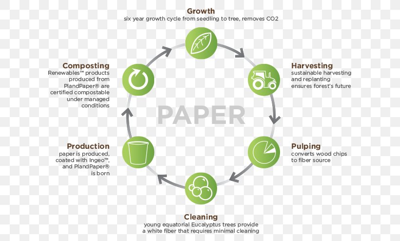 Paper Life-cycle Assessment Polylactic Acid Product Life-cycle Management, PNG, 629x494px, Paper, Biological Life Cycle, Brand, Communication, Diagram Download Free