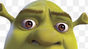 Shrek Forever After, Ogre, shrek, Dance Party, Gfycat, Giphy, Donkey,  Internet meme, Dance, grass