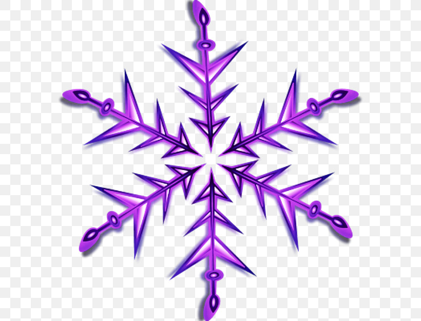 Snowflake, PNG, 600x625px, Purple, Leaf, Plant, Snowflake, Symmetry Download Free