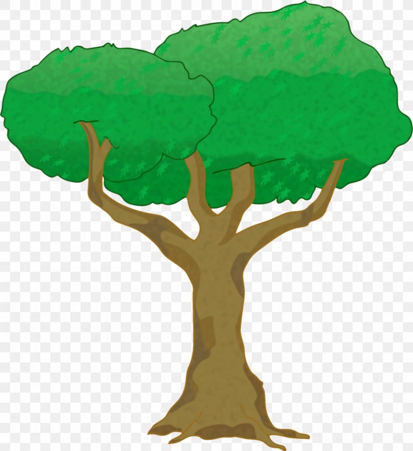 Tree Woody Plant Branch, PNG, 855x935px, Tree, Advertising, Bonsai, Branch, Coreldraw Download Free