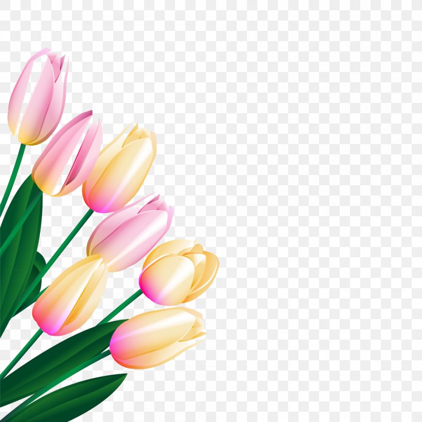 Tulip Flower, PNG, 1000x1000px, Tulip, Cut Flowers, Dahlia, Floral Design, Floristry Download Free