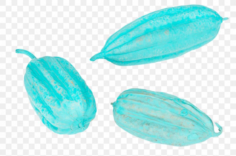 Turquoise Organism, PNG, 1200x796px, Turquoise, Aqua, Organism Download Free