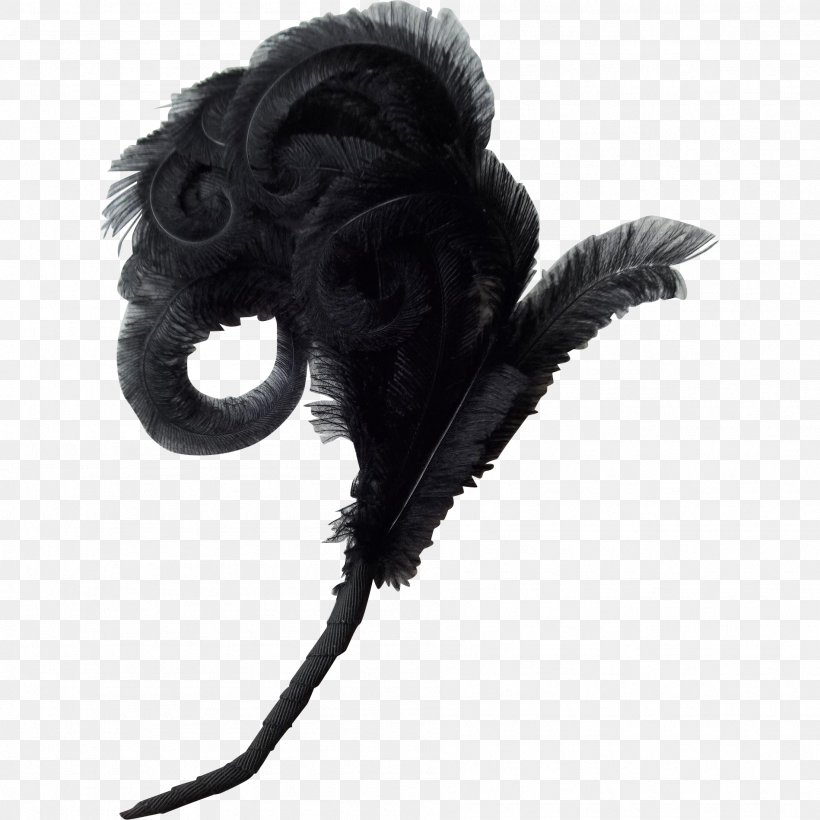 Victorian Era Hatmaking White Feather, PNG, 1898x1898px, Victorian Era, Black And White, Fashion, Feather, Hat Download Free