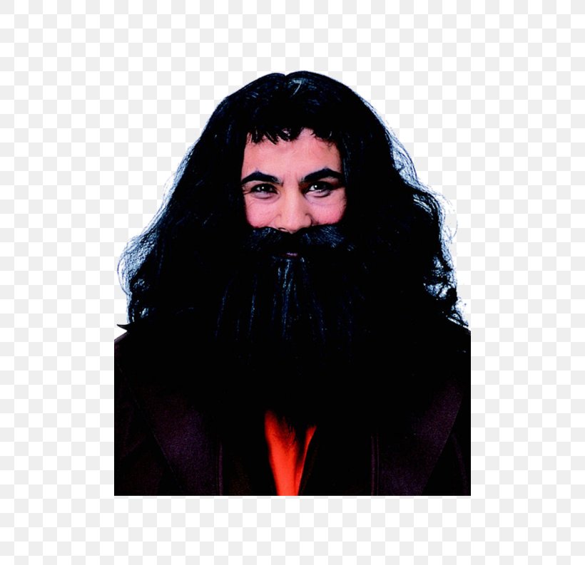 Beard Man Moustache Hair Rubeus Hagrid, PNG, 500x793px, Beard, Black Hair, Facial Hair, Fantasy, Film Download Free