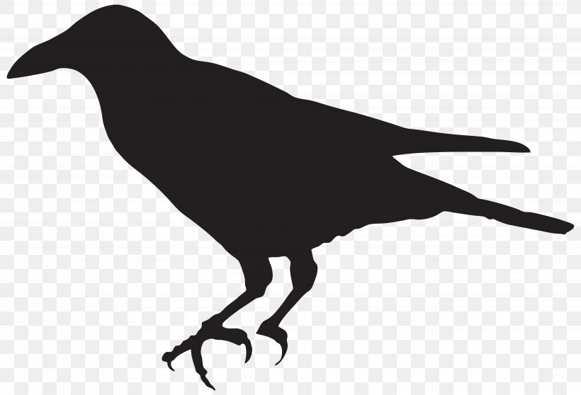 Bird Silhouette Clip Art, PNG, 8000x5453px, Crows, Art, Beak, Bird, Black And White Download Free