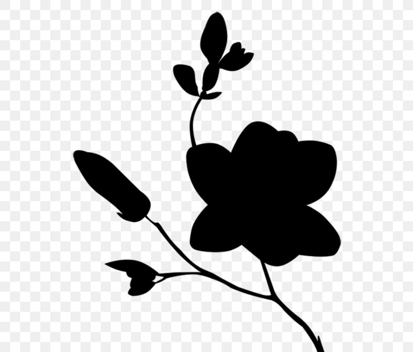 Black & White, PNG, 672x700px, Black White M, Black, Blackandwhite, Botany, Branch Download Free
