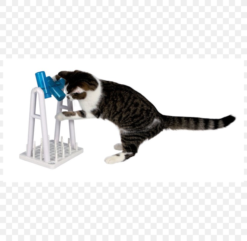 Cat Play And Toys Cat Food Mouse Scratching Post, PNG, 800x800px, Cat, Cat Food, Cat Like Mammal, Cat Play And Toys, Cat Senses Download Free