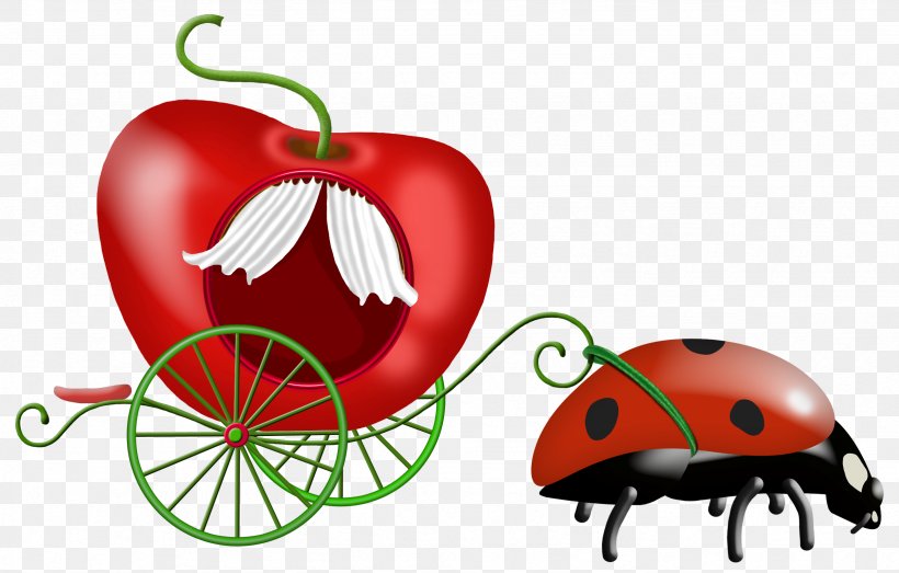 Ladybird Clip Art, PNG, 2462x1573px, Ladybird, Albom, Apple, Cartoon, Diagram Download Free