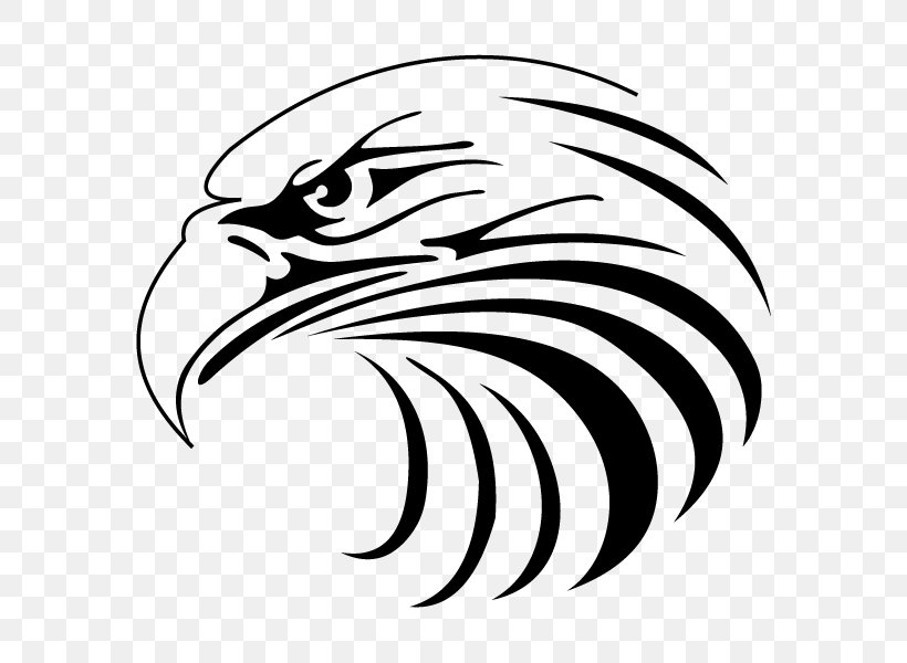 Bald Eagle Clip Art, PNG, 600x600px, Bald Eagle, Artwork, Beak, Bird, Bird Of Prey Download Free