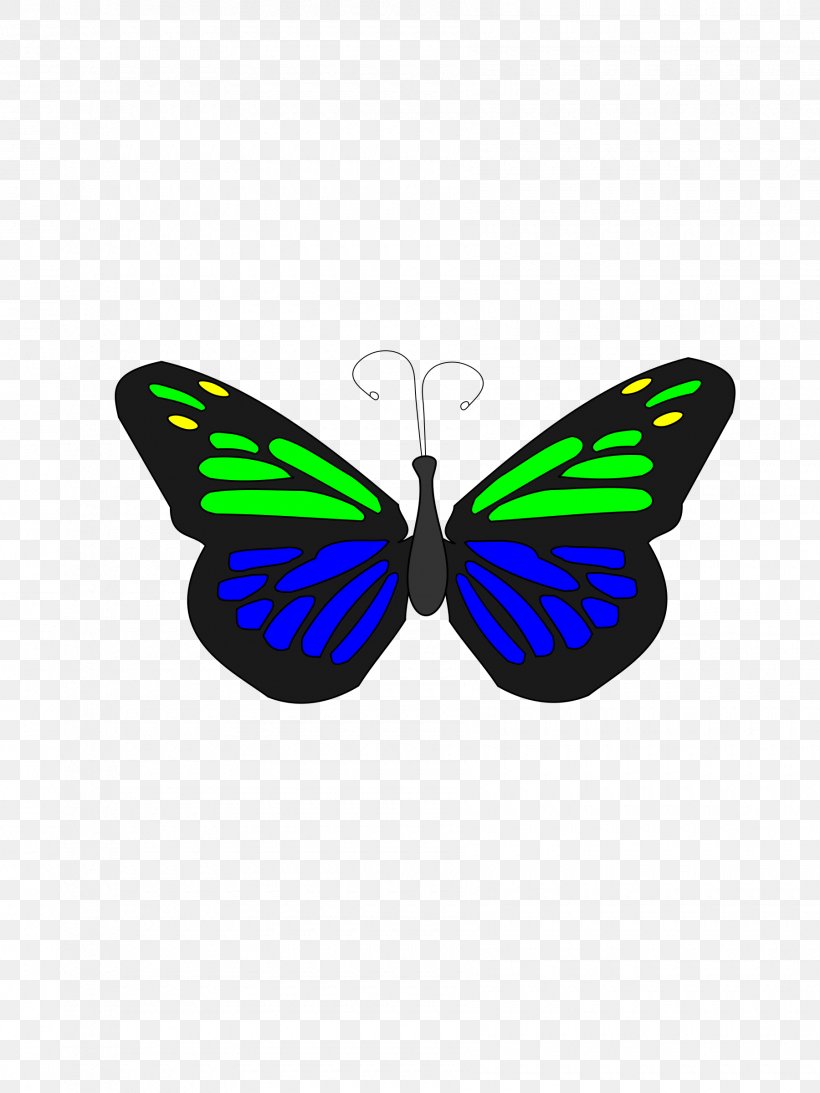 Butterfly Animation, PNG, 1800x2400px, Butterfly, Animation, Brush Footed Butterfly, Computer Network, Data Download Free