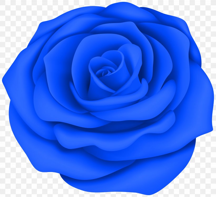 Clip Art Rose Desktop Wallpaper Image Drawing, PNG, 8000x7335px, Rose, Art, Art Museum, Blue, Blue Rose Download Free