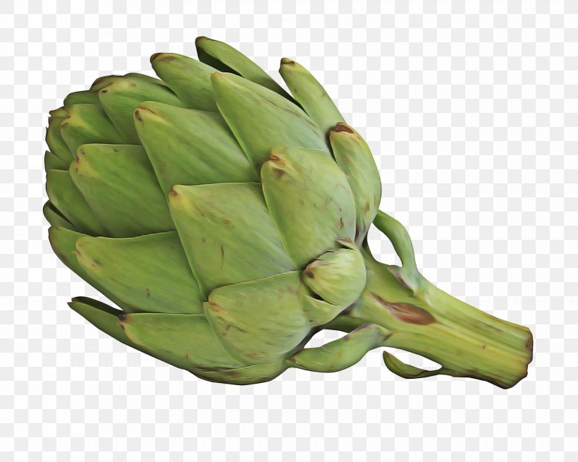 Vegetable Cartoon, PNG, 1722x1377px, Artichoke, Artichoke Thistle, Asparagus, Bud, Cardoon Download Free