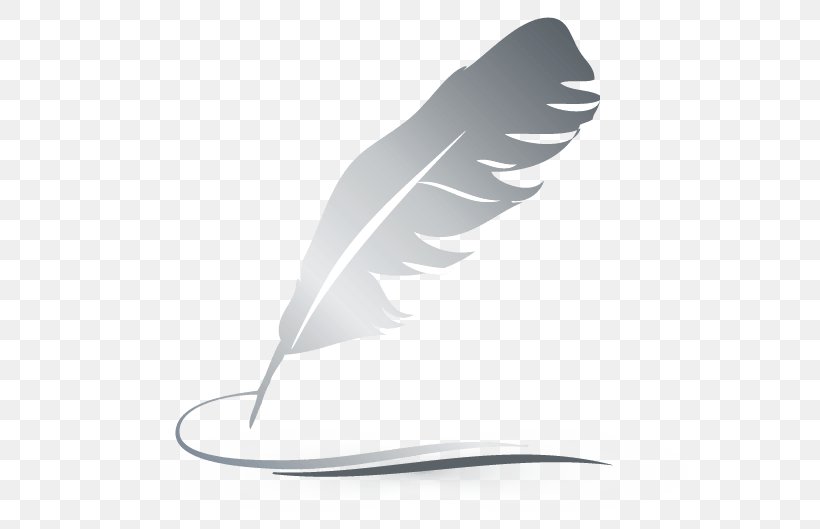 Logo Feather Quill Graphic Designer, PNG, 588x529px, Logo, Bird, Feather, Fountain Pen, Graphic Designer Download Free