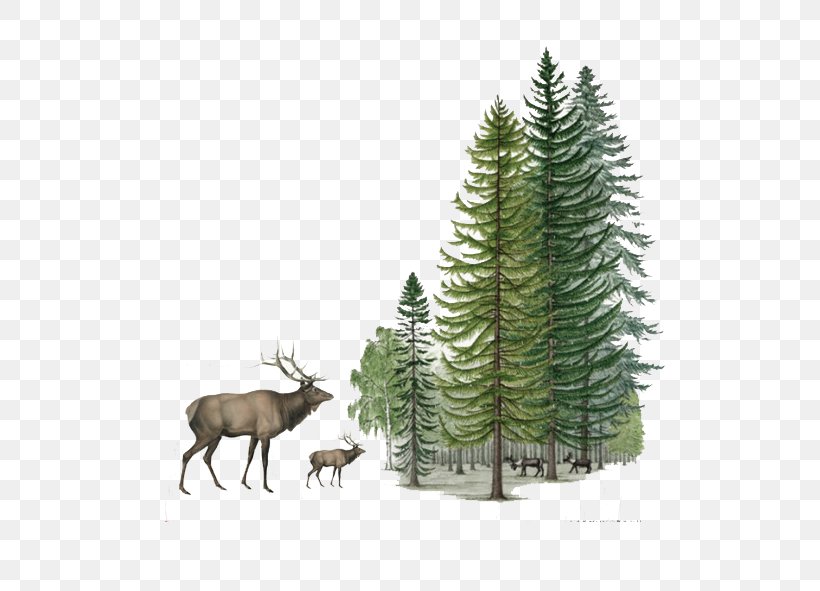 Reindeer Shulin District Sika Deer, PNG, 642x591px, Deer, Animal, Antler, Branch, Christmas Decoration Download Free