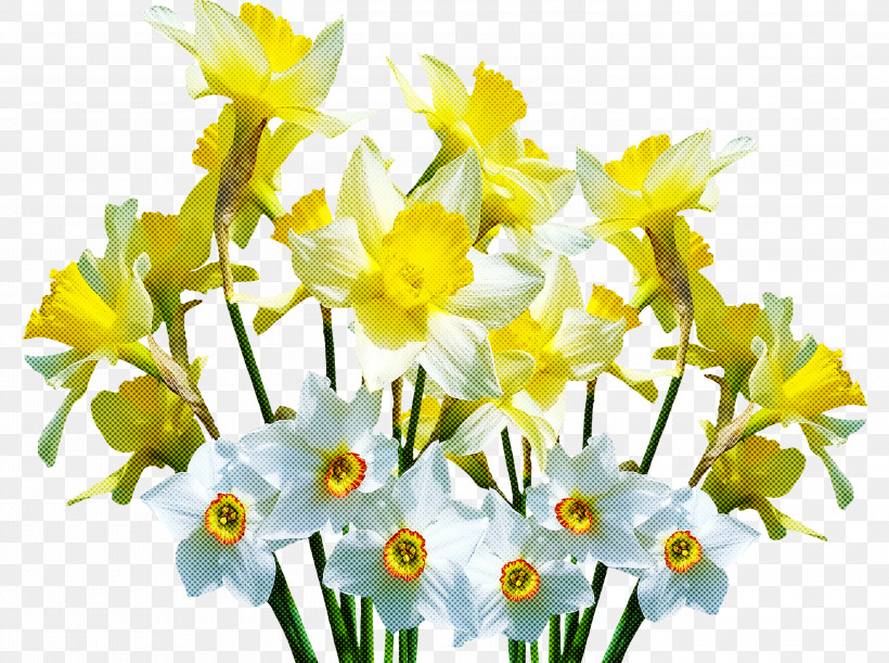 Spring Flower Spring Floral Flowers, PNG, 2999x2238px, Spring Flower, Amaryllis Family, Bouquet, Cut Flowers, Flower Download Free