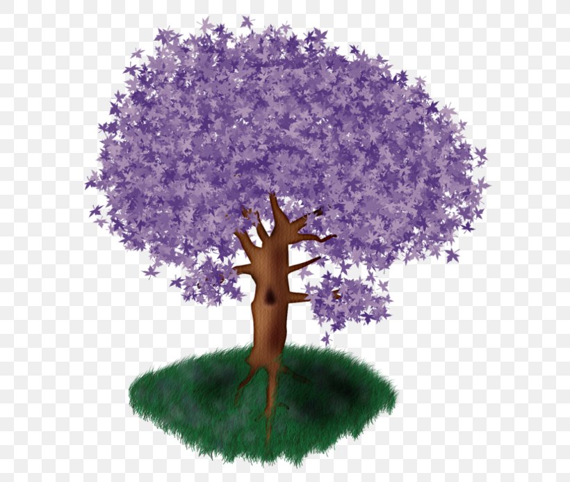Tree Purple Clip Art, PNG, 600x693px, Tree, Blog, Christmas Tree, Color, Houseplant Download Free