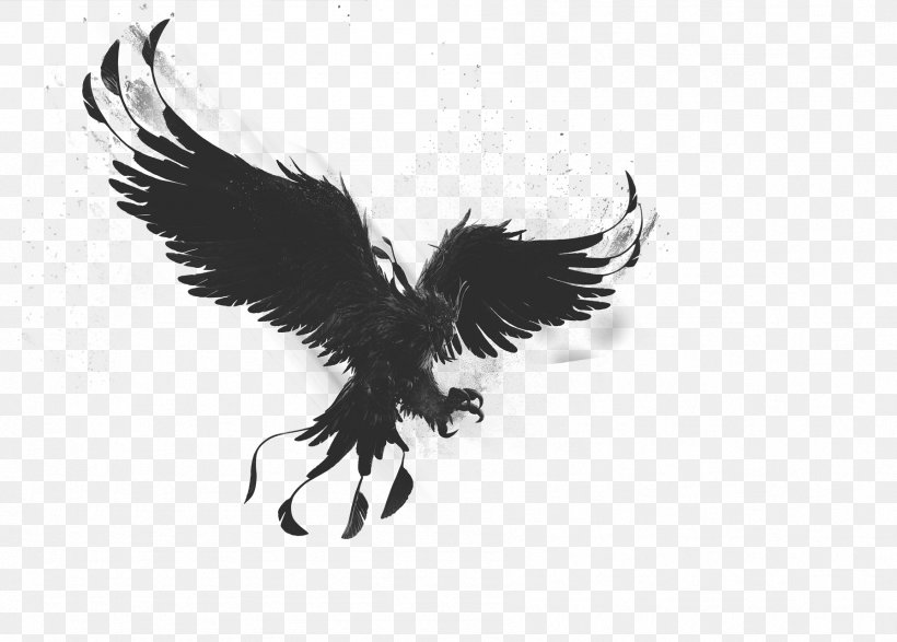 Bald Eagle Phoenix Bird Drawing, PNG, 1791x1284px, Bald Eagle, Artist, Beak, Bird, Bird Of Prey Download Free