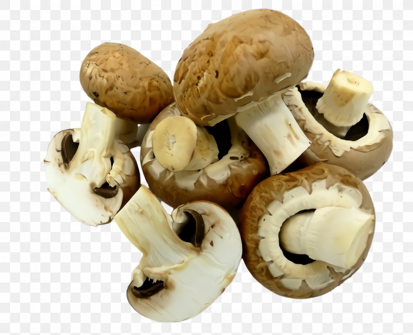 Champignon Mushroom Agaricus Agaricaceae Mushroom Matsutake, PNG, 2220x1800px, Champignon Mushroom, Agaricaceae, Agaricomycetes, Agaricus, Edible Mushroom Download Free