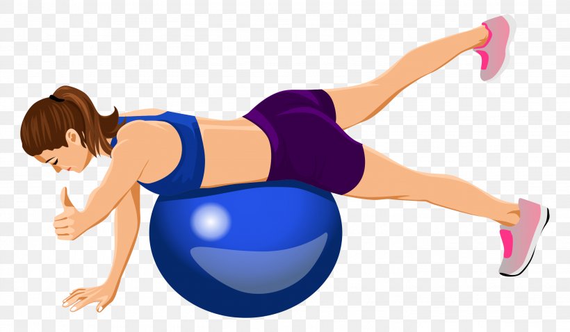 Exercise Equipment Joint Arm Physical Exercise Exercise Balls, PNG, 2835x1654px, Watercolor, Cartoon, Flower, Frame, Heart Download Free
