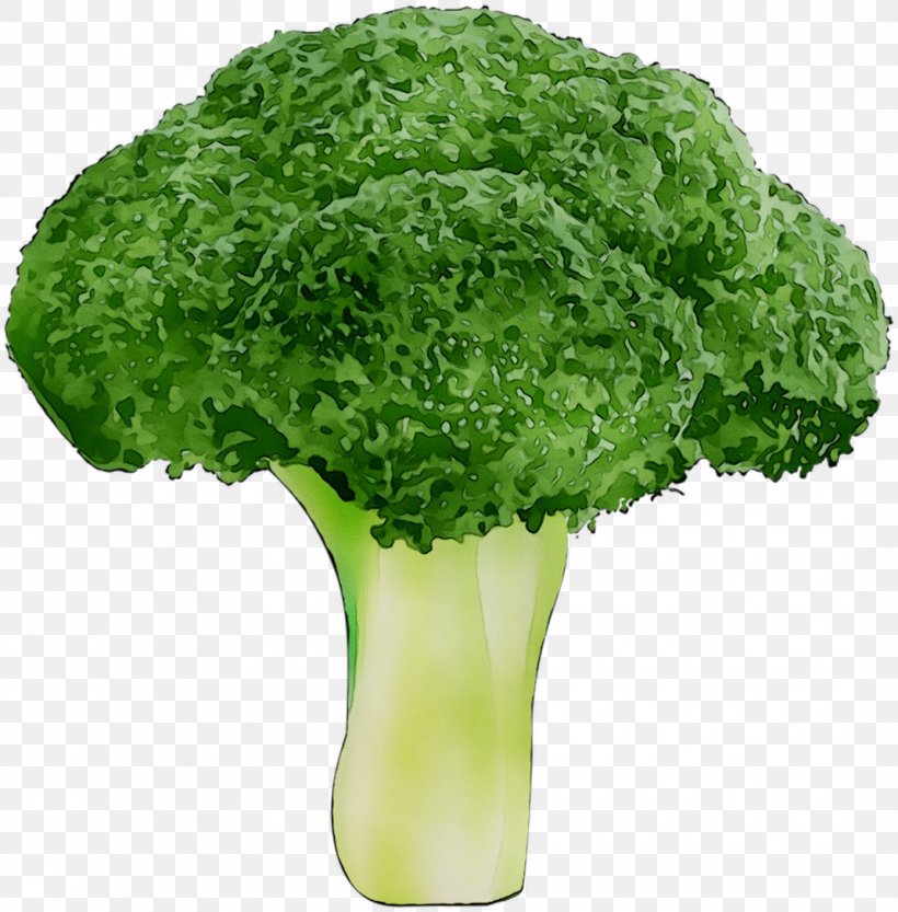 Plant-based Diet Nutrient Vegetarianism Food Veganism, PNG, 1070x1088px, Plantbased Diet, Broccoli, Cabbage, Cookbook, Cruciferous Vegetables Download Free
