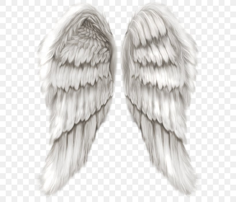 Cherub Wing Angel, PNG, 600x700px, Cherub, Angel, Angel Wing, Black And White, Feather Download Free