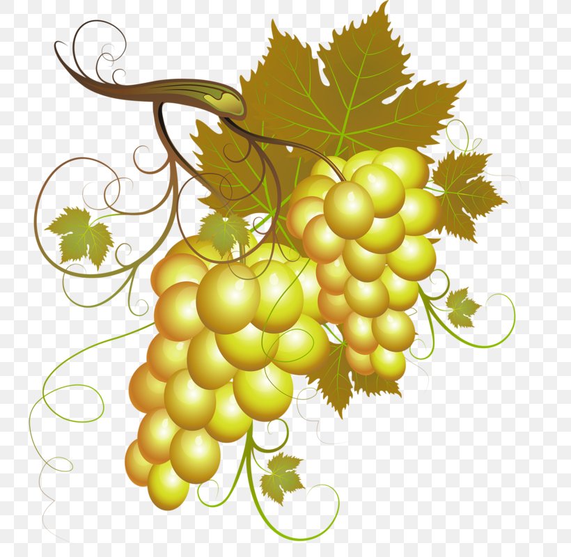Grape Download, PNG, 738x800px, Grape, Barrel, Flowering Plant, Food, Fruit Download Free