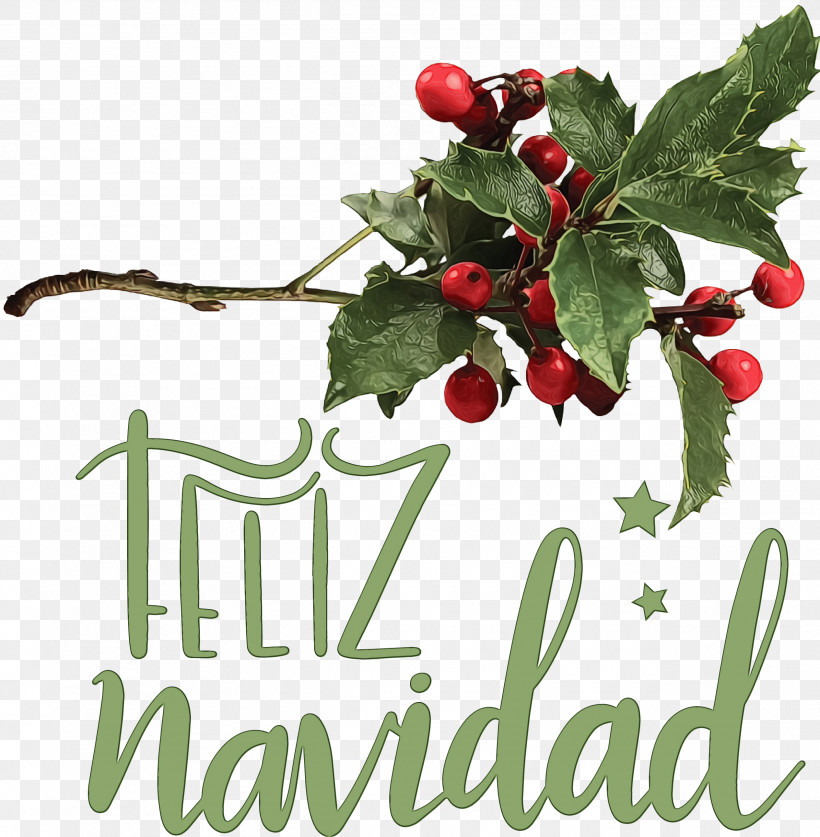 Mistletoe, PNG, 2530x2585px, Feliz Navidad, American Holly, Berry, Branch, Common Holly Download Free