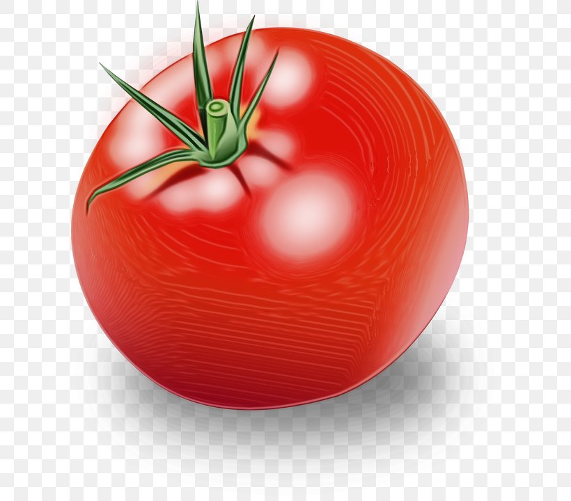 Tomato, PNG, 635x720px, Watercolor, Food, Fruit, Natural Foods, Nightshade Family Download Free