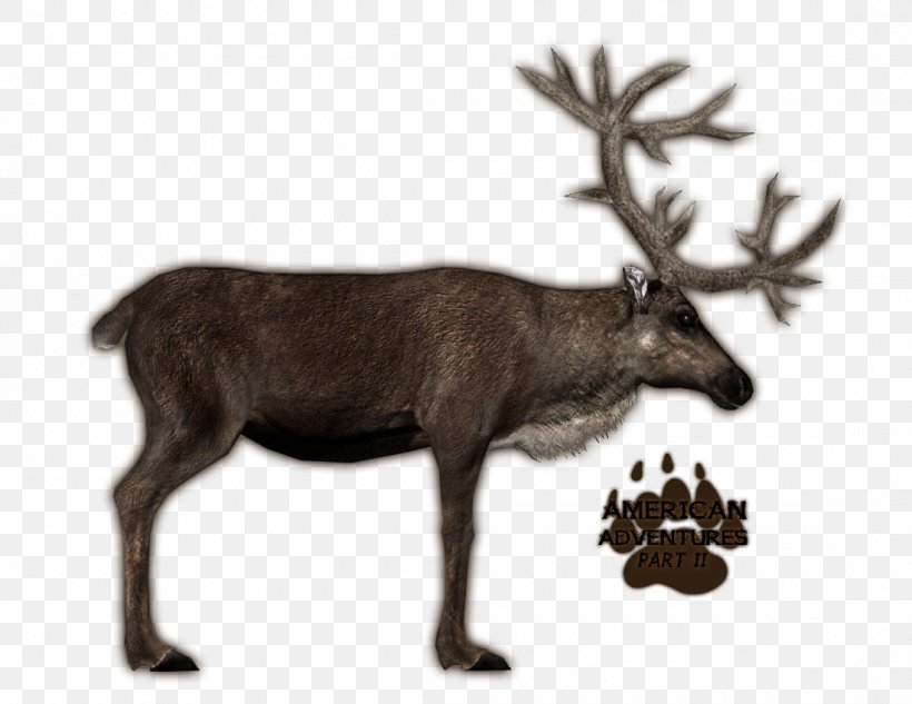 Zoo Tycoon 2 Deer Porcupine Caribou Quebec Elk, PNG, 1100x850px, Zoo Tycoon 2, Accipitridae, Animal, Animal Migration, Antler Download Free
