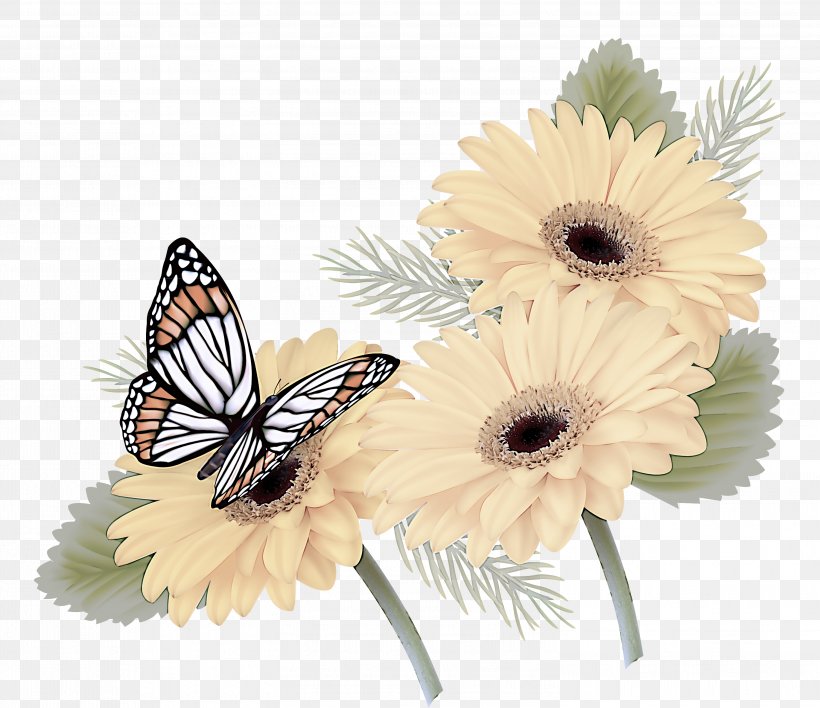 Butterfly Gerbera Moths And Butterflies Insect Flower, PNG, 2999x2590px, Butterfly, Brushfooted Butterfly, Cut Flowers, Flower, Gerbera Download Free