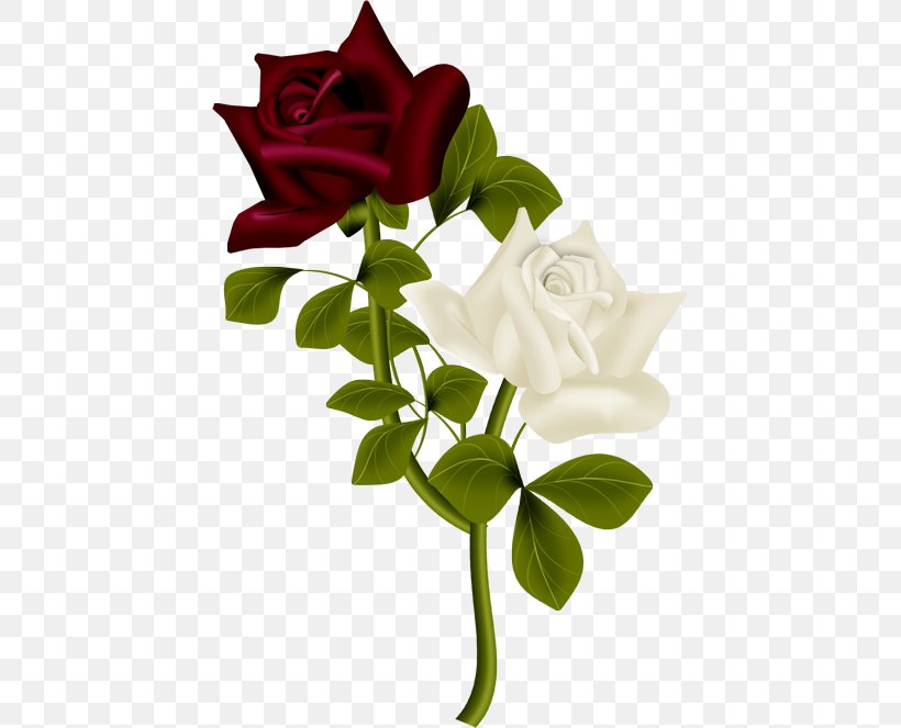 Love Rose Flower, PNG, 433x663px, Morning, Bouquet, Branch, Cut Flowers, Day Download Free