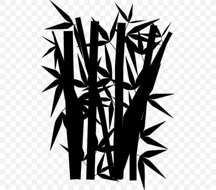 Tree Drawing Arecaceae Clip Art, PNG, 507x720px, Tree, Arecaceae, Bamboo, Bambusodae, Black And White Download Free