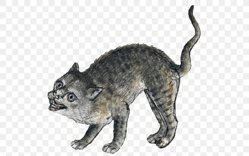 Whiskers Wildcat Middle Ages Medieval Art, PNG, 512x512px, Whiskers, Art, Art Museum, Carnivoran, Cat Download Free