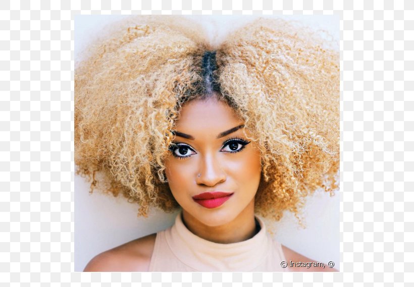 Afro-textured Hair Blond Afro-textured Hair Hair Coloring, PNG, 790x569px, Afro, Afrotextured Hair, Beauty, Black Hair, Blond Download Free