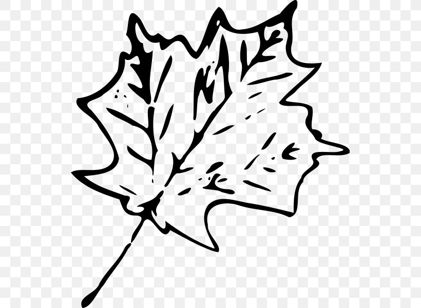 Autumn Leaf Color Maple Leaf Clip Art, PNG, 543x600px, Autumn Leaf Color, Area, Artwork, Autumn, Black And White Download Free