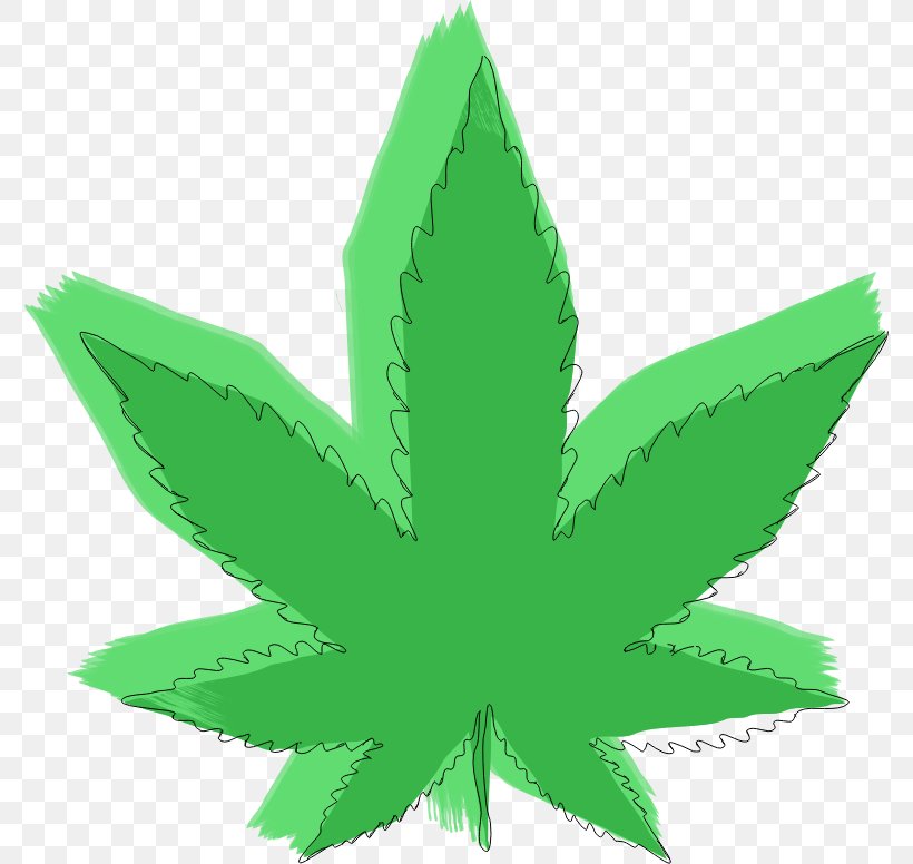 Medical Cannabis Hemp Drug Leaf, PNG, 776x776px, Cannabis, Drawing, Drug, Grass, Hemp Download Free
