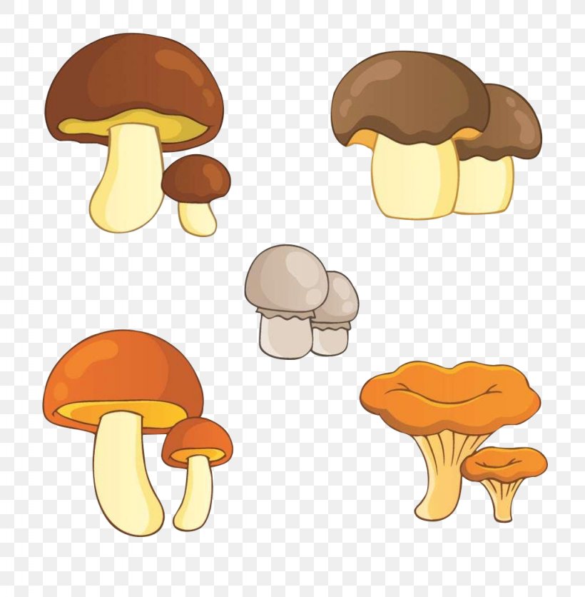 Edible Mushroom Illustration, PNG, 1024x1045px, Mushroom, Cartoon, Drawing, Edible Mushroom, Fungus Download Free