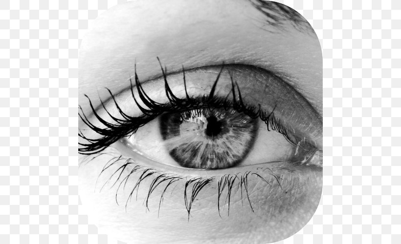 Human Eye Dry Eye Syndrome Black Eye, PNG, 500x500px, Watercolor, Cartoon, Flower, Frame, Heart Download Free