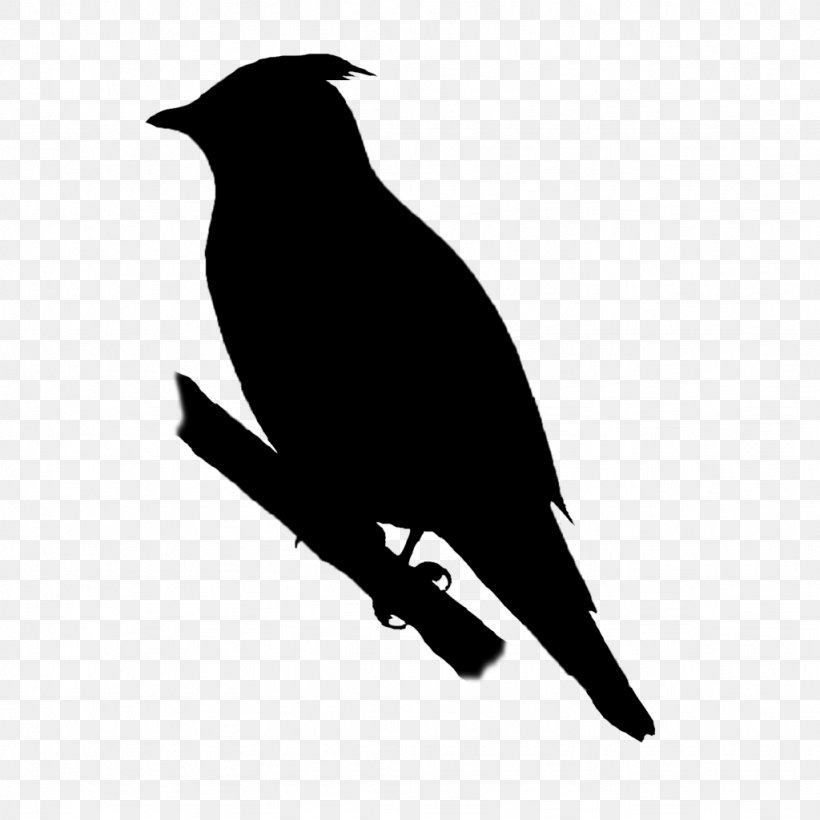 American Crow Bird New Caledonian Crow The Noun Project, PNG, 1024x1024px, American Crow, Beak, Bird, Blackbird, Common Raven Download Free