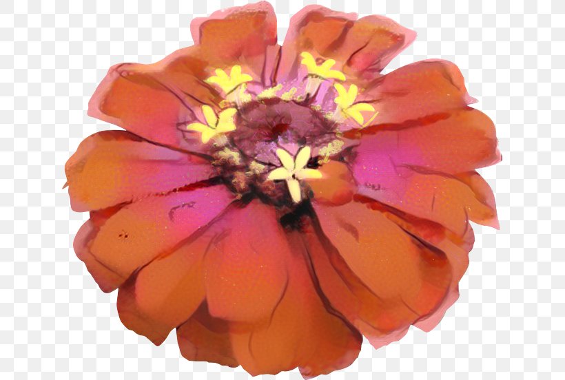 Flowers Background, PNG, 639x552px, Petal, Artificial Flower, Common Zinnia, Cut Flowers, Family Download Free
