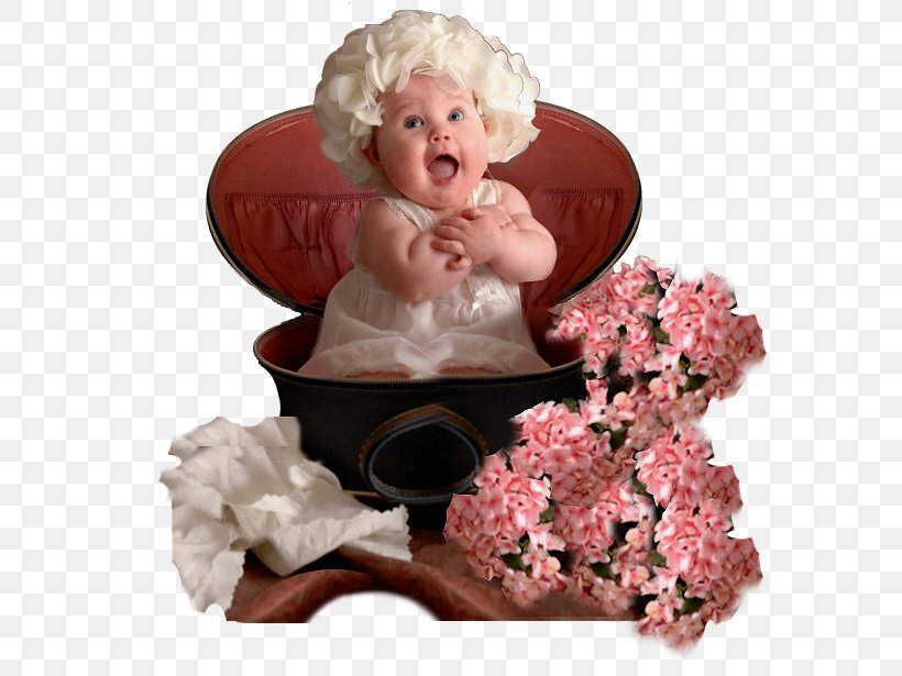 Infant Toddler Children's Clothing Pink M, PNG, 660x615px, Infant, Child, Flower, Pink, Pink M Download Free