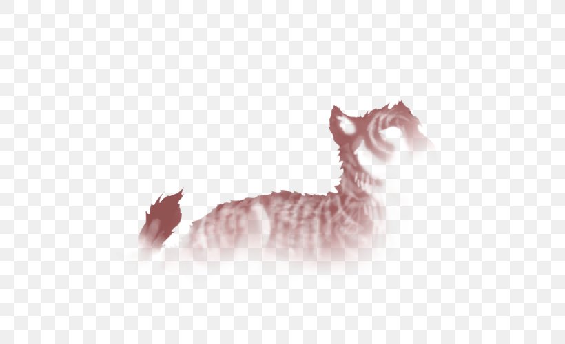 Kitten Whiskers Tabby Cat Paw, PNG, 640x500px, Kitten, Carnivoran, Cat, Cat Like Mammal, Fauna Download Free
