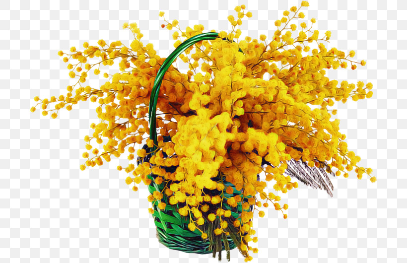 Mimosa, PNG, 700x530px, Yellow, Flower, Mimosa, Plant, Smile Download Free